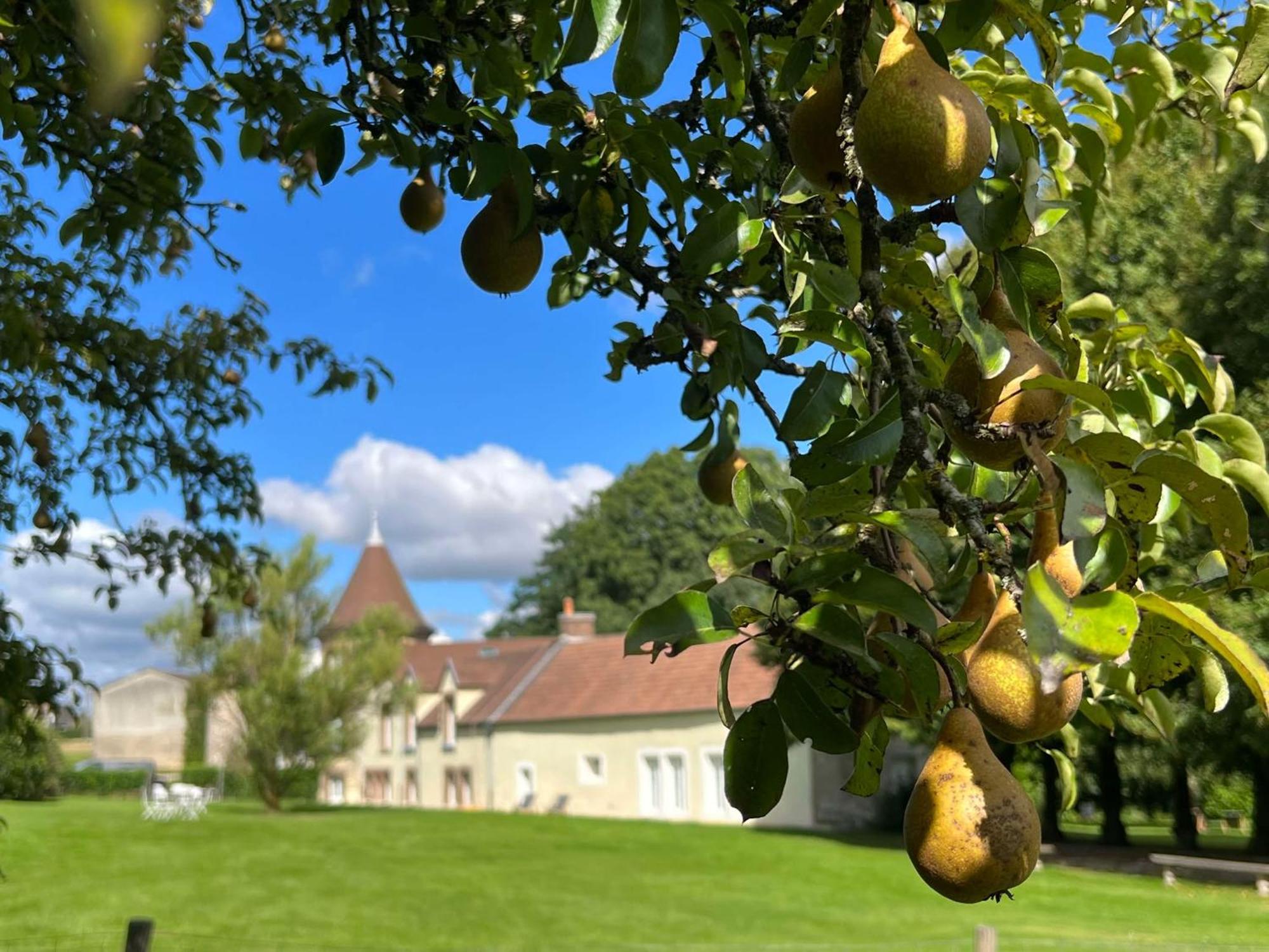 Le Petit Chateau Baye  Eksteriør bilde